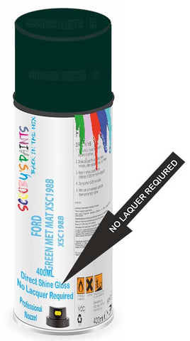 paint for Ford Scoop
