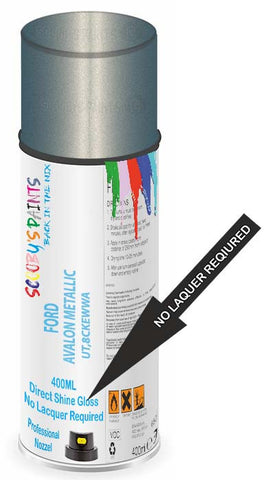 paint for Ford Transit Connect