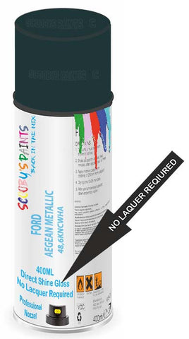 paint for Ford Taurus
