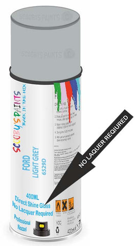 paint for FORD FORD 500