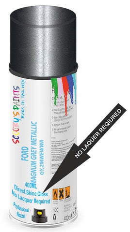 paint for Ford Transit Connect