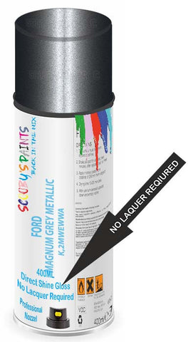 paint for Ford Transit Connect