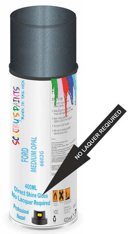 paint for FORD FORD 500