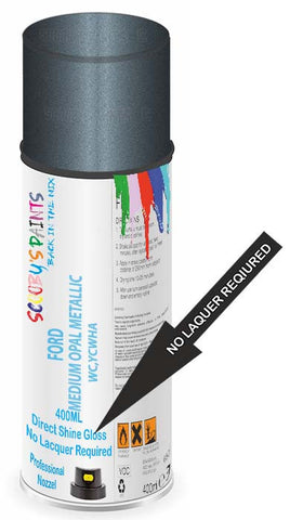 paint for Ford Tempo
