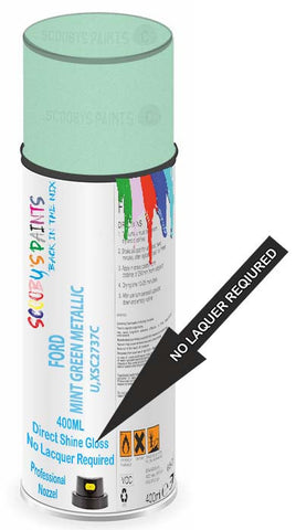paint for Ford Orion
