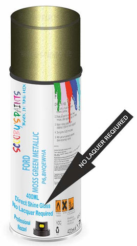 paint for Ford Flex