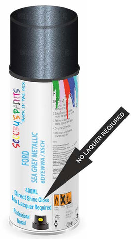 paint for Ford Figo