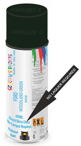 paint for FORD ECOSPORT