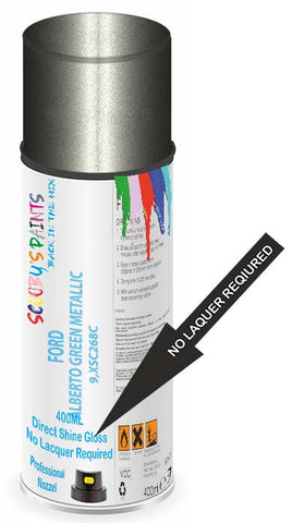 paint for Ford Fiesta