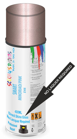 paint for SMART 