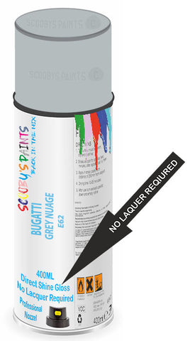 paint for BUGATTI 