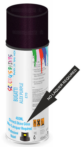 paint for BUGATTI 