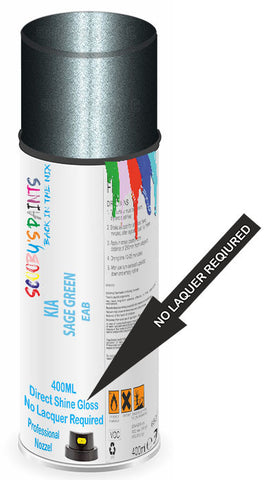 paint for Kia Sedona