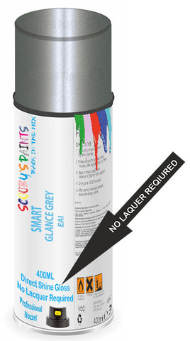 paint for Smart Roadster