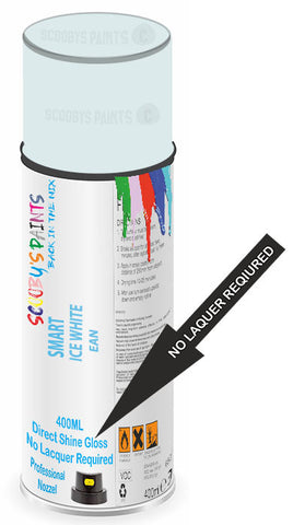 paint for Smart Eq Forfour