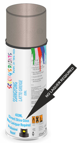 paint for SSANGYONG 