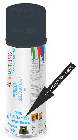 paint for PEUGEOT 