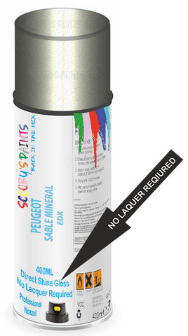 paint for Peugeot 306