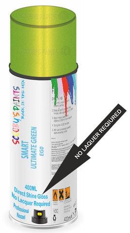 paint for Smart Fortwo