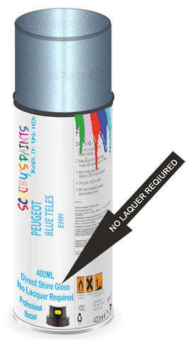 paint for Peugeot 301