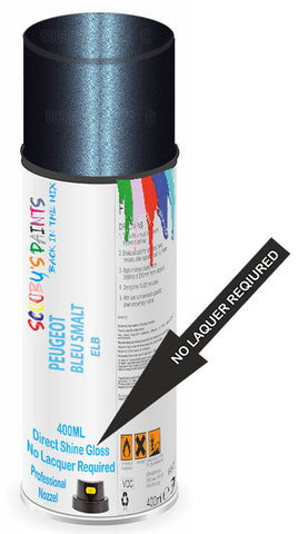 paint for PEUGEOT 207