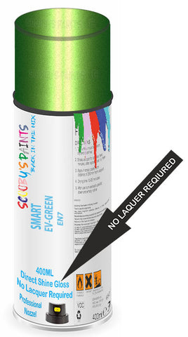 paint for Smart Forfour E-Drive