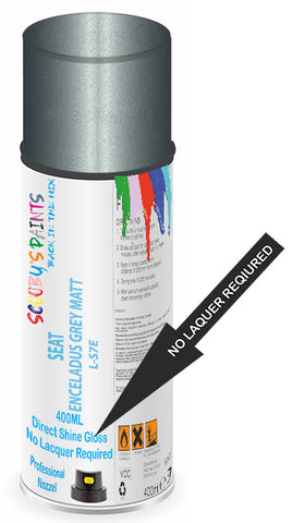 paint for Seat Leon Cupra
