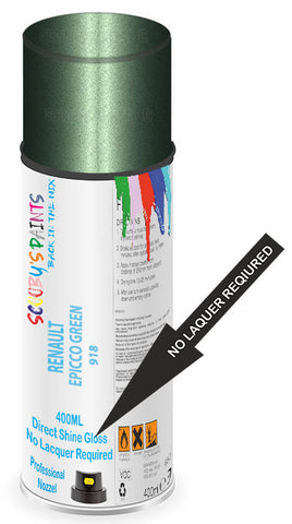 paint for Renault R5