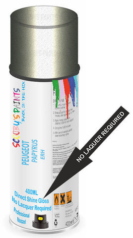 paint for Peugeot 4008