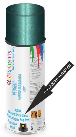 paint for Peugeot 806