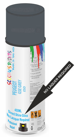 paint for Peugeot 306