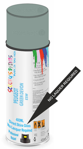 paint for Peugeot 806