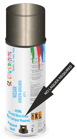 paint for NISSAN MAXIMA QX