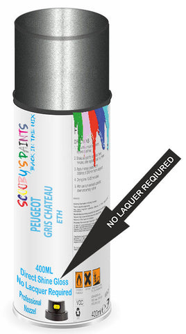 paint for Peugeot 806
