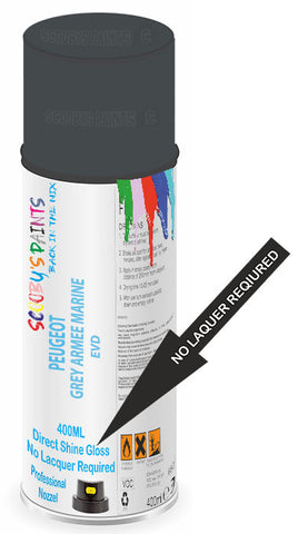 paint for PEUGEOT 