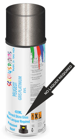 paint for Peugeot E-Expert