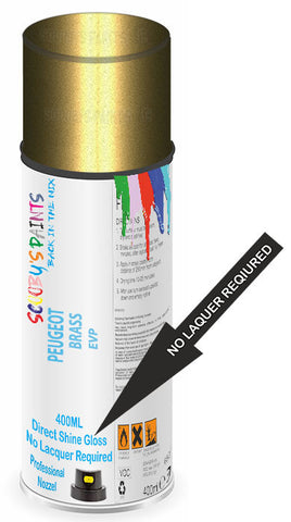 paint for PEUGEOT 