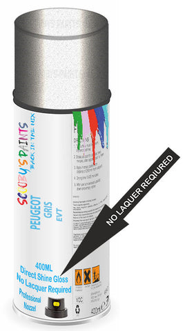 paint for Peugeot 607