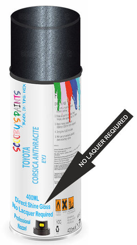paint for Toyota Proace