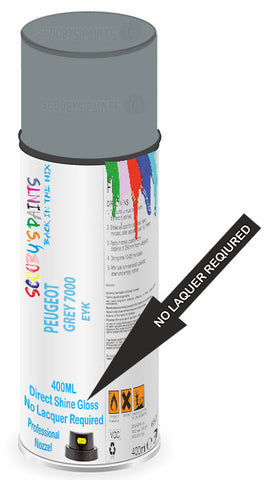 paint for PEUGEOT BIPPER
