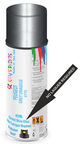 paint for Peugeot Partner