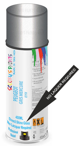 paint for Peugeot Rcz