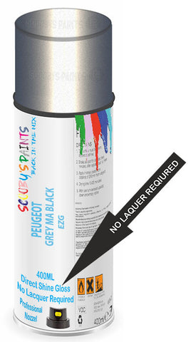 paint for PEUGEOT 