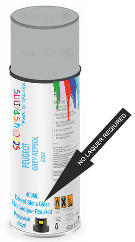 paint for PEUGEOT 