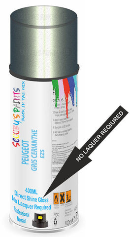 paint for Peugeot 1007