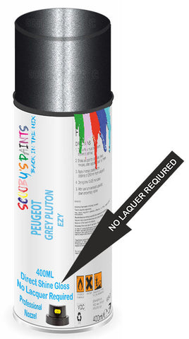 paint for Peugeot Partner