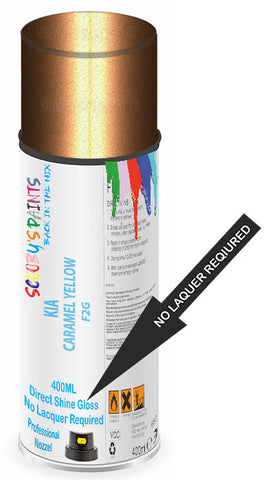 paint for Kia Rio5