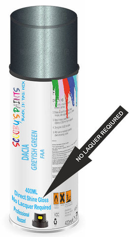 paint for Dacia Nova