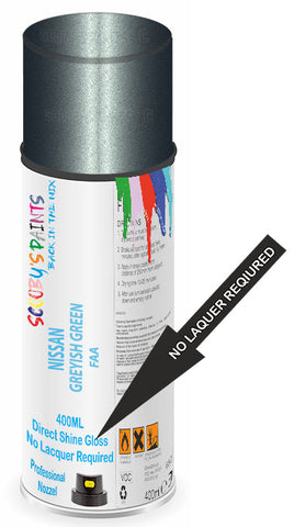 paint for NISSAN TEANA