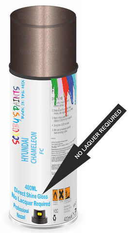 paint for Hyundai Elantra